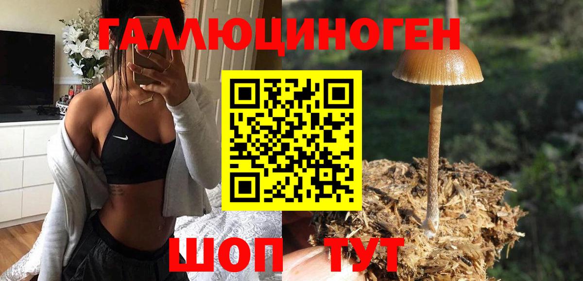 Галлюциногенные грибы MAGIC MUSHROOMS  Вход с VPN  Светлоград 