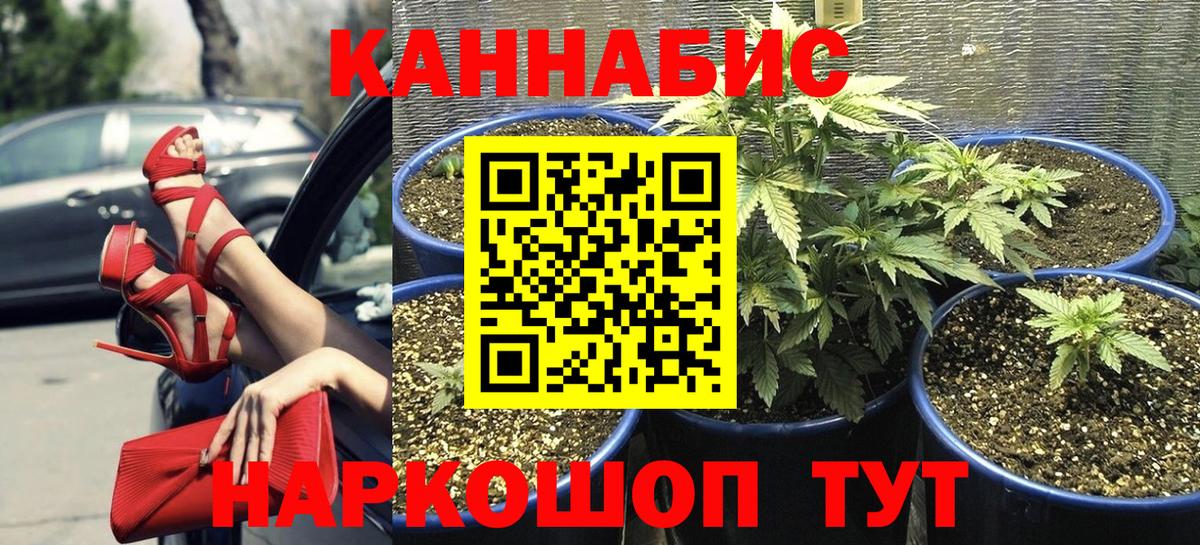 Псилоцибиновые грибы Светлоград